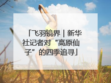 飞羽镜界｜新华社记者对“高原仙子”的四季追寻