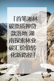 首笔湘林碳票质押贷款落地 湖南探索林业碳汇价值转化新路径