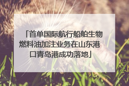 首单国际航行船舶生物燃料油加注业务在山东港口青岛港成功落地