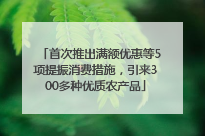 首次推出满额优惠等5项提振消费措施，引来300多种优质农产品