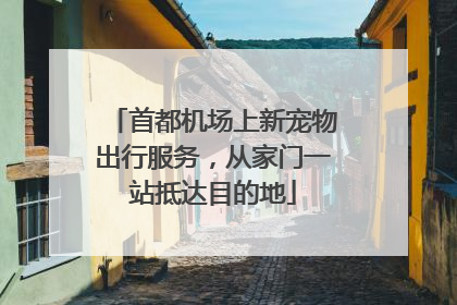 首都机场上新宠物出行服务，从家门一站抵达目的地