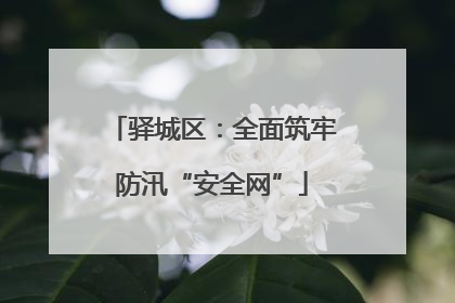 驿城区：全面筑牢防汛“安全网”