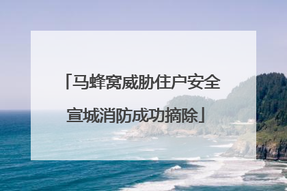 马蜂窝威胁住户安全 宣城消防成功摘除