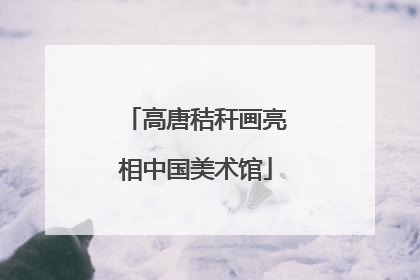 高唐秸秆画亮相中国美术馆