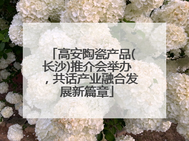 高安陶瓷产品(长沙)推介会举办，共话产业融合发展新篇章