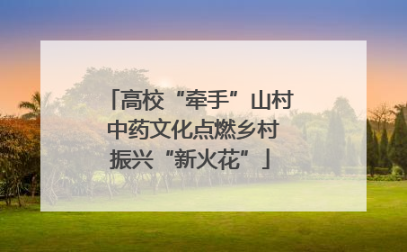 高校“牵手”山村 中药文化点燃乡村振兴“新火花”