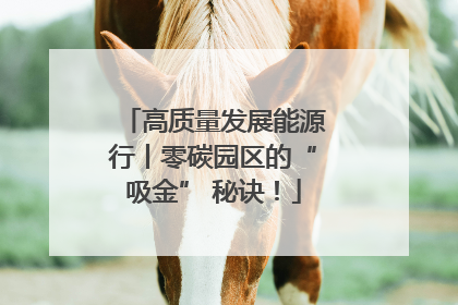 高质量发展能源行丨零碳园区的“吸金” 秘诀！
