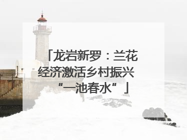 龙岩新罗：兰花经济激活乡村振兴“一池春水”