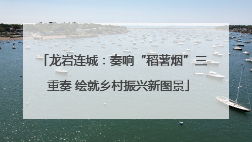 龙岩连城：奏响“稻薯烟”三重奏 绘就乡村振兴新图景
