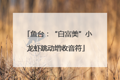鱼台：“白富美”小龙虾跳动增收音符