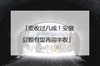 麦收过八成！安徽夏粮有望再迎丰收