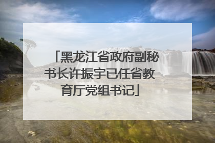 黑龙江省政府副秘书长许振宇已任省教育厅党组书记