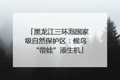 黑龙江三环泡国家级自然保护区：候鸟“带娃”添生机