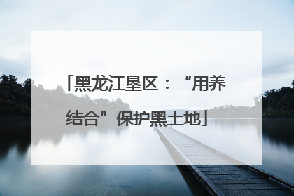 黑龙江垦区：“用养结合”保护黑土地
