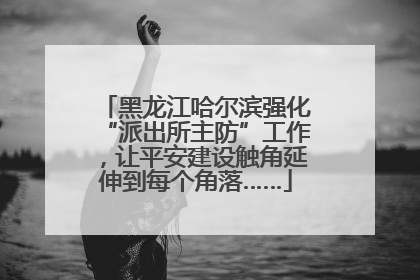 黑龙江哈尔滨强化“派出所主防”工作，让平安建设触角延伸到每个角落……