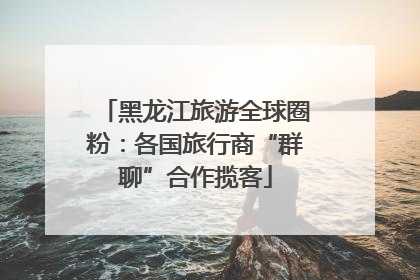 黑龙江旅游全球圈粉：各国旅行商“群聊”合作揽客