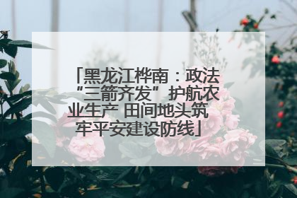 黑龙江桦南：政法“三箭齐发”护航农业生产 田间地头筑牢平安建设防线