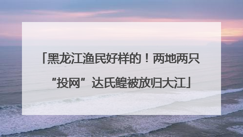 黑龙江渔民好样的！两地两只“投网”达氏鳇被放归大江