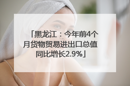 黑龙江：今年前4个月货物贸易进出口总值同比增长2.9%