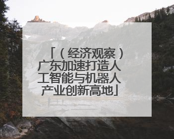 （经济观察）广东加速打造人工智能与机器人产业创新高地