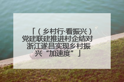 （乡村行·看振兴）党建联建推进村企结对 浙江遂昌实现乡村振兴“加速度”