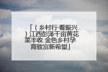 （乡村行·看振兴）江西彭泽千亩黄花菜丰收 金色乡村孕育致富新希望