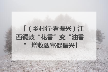 （乡村行·看振兴）江西铜鼓“花香”变“油香” 增收致富促振兴