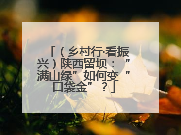 （乡村行·看振兴）陕西留坝：“满山绿”如何变“口袋金”？