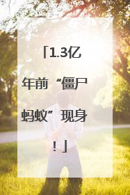 1.3亿年前“僵尸蚂蚁”现身！
