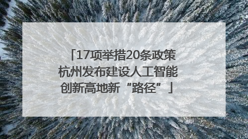 17项举措20条政策 杭州发布建设人工智能创新高地新“路径”