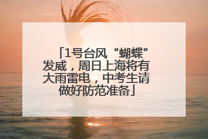 1号台风“蝴蝶”发威，周日上海将有大雨雷电，中考生请做好防范准备