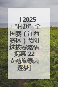 2025“村超”全国赛（江西赛区）弋阳选拔赛燃情揭幕 22支劲旅绿茵逐梦