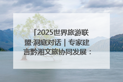 2025世界旅游联盟·洞庭对话｜专家建言黔湘文旅协同发展：聚焦产品稀缺性 深化区域经验共享
