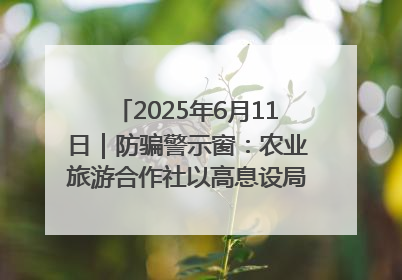 2025年6月11日｜防骗警示窗：农业旅游合作社以高息设局，集资380万