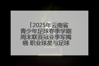 2025年云南省青少年足球春季学期周末联赛冠亚季军揭晓 职业球星与足球小将共享荣耀时刻