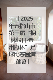 2025年五指山市第三届“桐林假日·老州府杯”足球比赛圆满落幕
