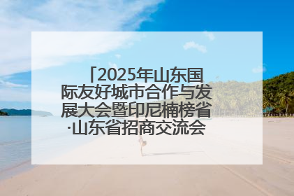 2025年山东国际友好城市合作与发展大会暨印尼楠榜省·山东省招商交流会在济南槐荫举行