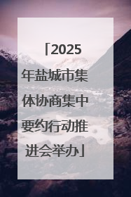 2025年盐城市集体协商集中要约行动推进会举办