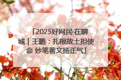 2025好网民·在聊城｜王鹏：扎根故土担使命 妙笔著文扬正气