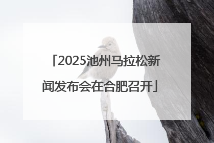 2025池州马拉松新闻发布会在合肥召开