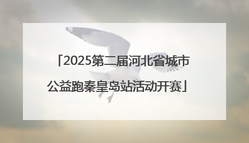2025第二届河北省城市公益跑秦皇岛站活动开赛