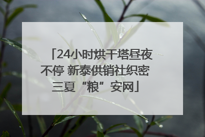 24小时烘干塔昼夜不停 新泰供销社织密三夏“粮”安网