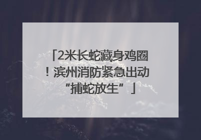 2米长蛇藏身鸡圈！滨州消防紧急出动“捕蛇放生”