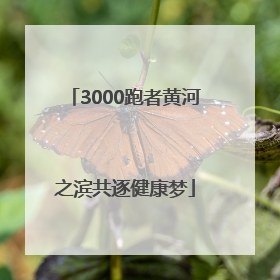 3000跑者黄河之滨共逐健康梦
