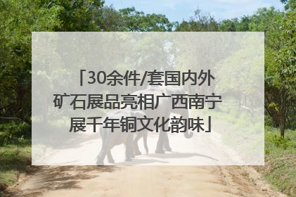 30余件/套国内外矿石展品亮相广西南宁 展千年铜文化韵味