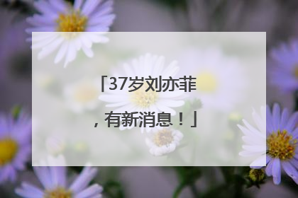 37岁刘亦菲，有新消息！