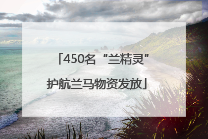 450名“兰精灵”护航兰马物资发放