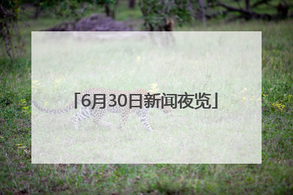 6月30日新闻夜览