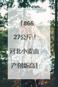866.27公斤！河北小麦亩产创新高