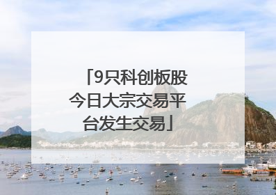 9只科创板股今日大宗交易平台发生交易